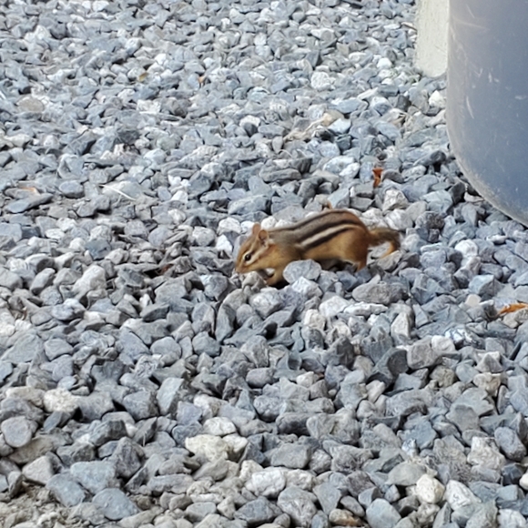 Meet your Posher, Dawn - Picture 7 of 14